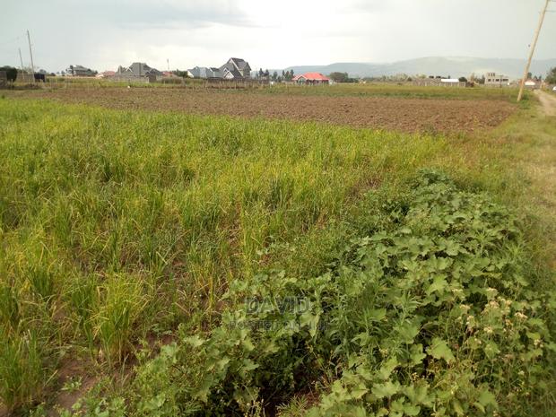 Plot for Sale in Muwa - thumbnail 5