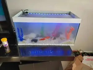 Custom Made Aquarium, Aquarium,Aquarium, Aquarium, Aquarium