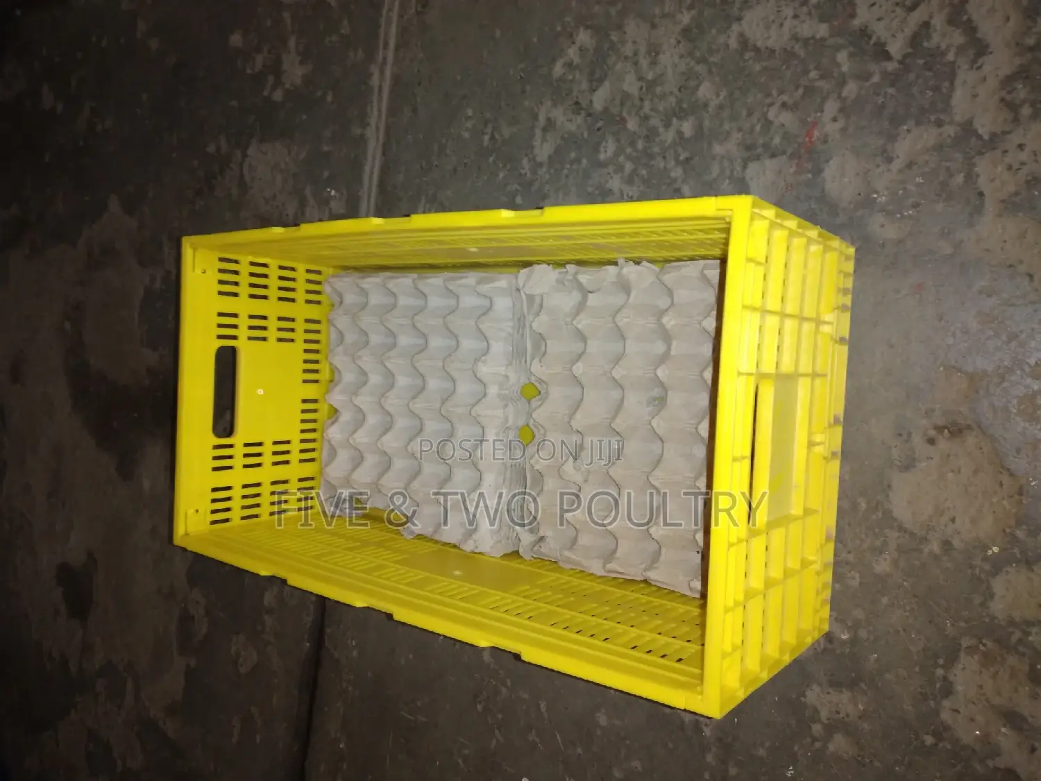 Eggs Transport Crate