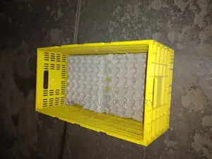 Eggs Transport Crate
