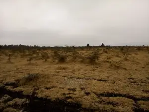 5-Acres of Land for Sale in Ongata Rongai - Behind Rockfield