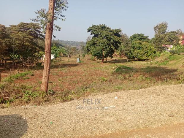 Karatina/Muthua 50/100 - main view