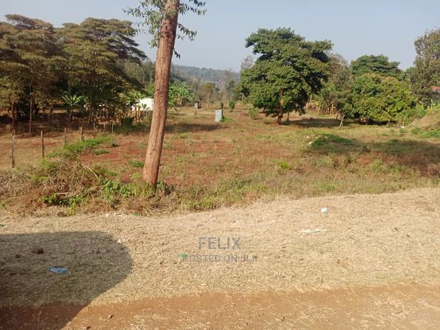 Karatina/Muthua 50/100 - thumbnail 4