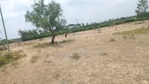 2 Acre Land for Sale in Kona Baridi,Kajiado
