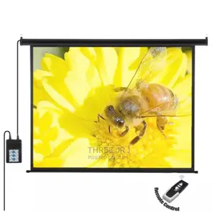 Electic Controlled Projection Screen 120x120inch