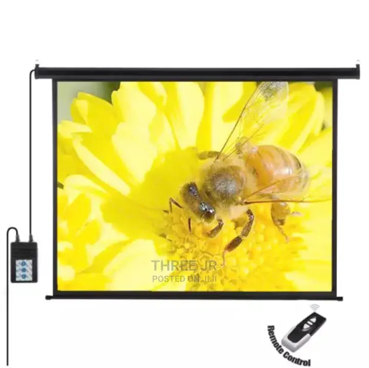 Electic Controlled Projection Screen 120x120inch
