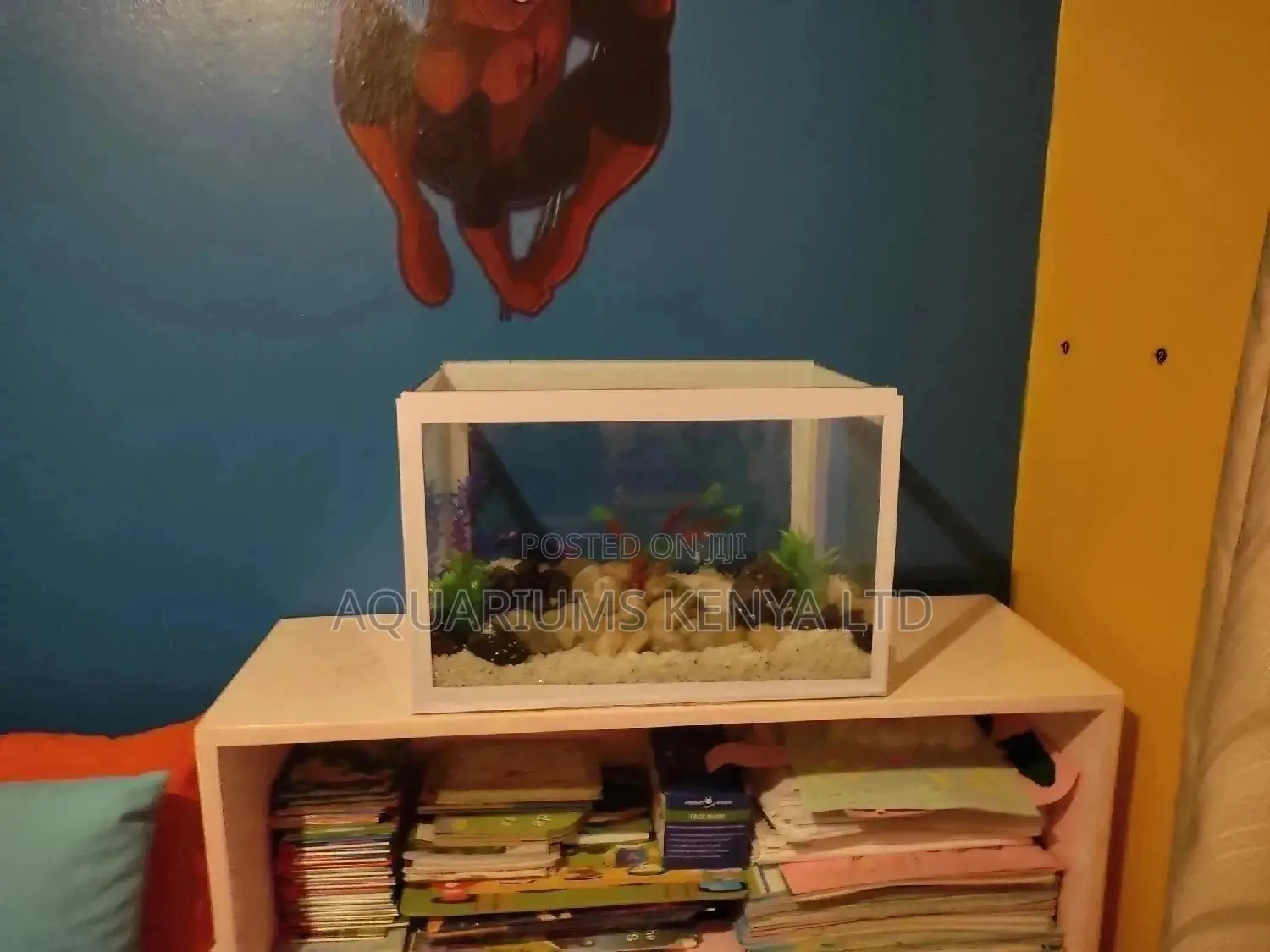 Children Rooms Aquariums, Custom Aquariums