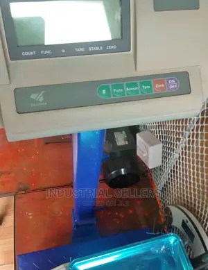 Multiple Function A12 Gas Scale