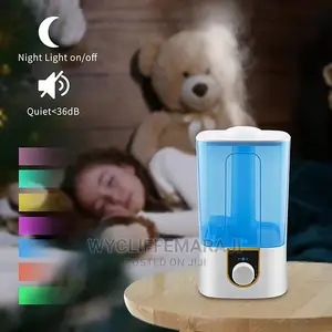 4ltrs Cool Steam Humidifier