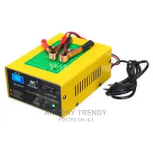 Unique Bt-168 250W 12/24v 200ah Lead ACID Battery Charger PU