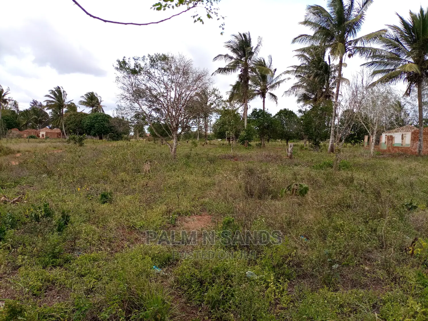 Golini One Acre on Sale.