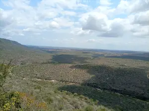 Golini One Acre on Sale.