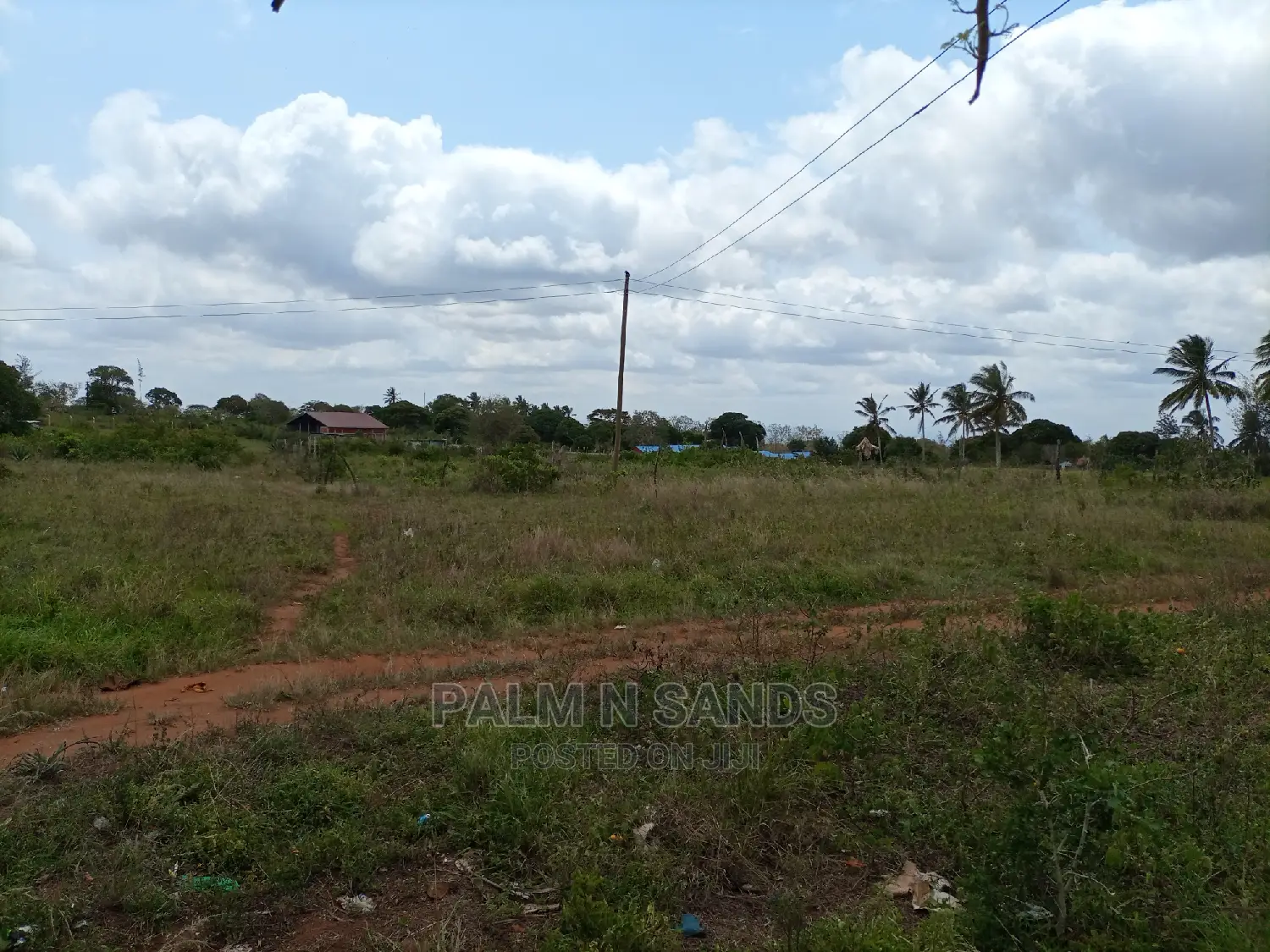 Golini One Acre on Sale.
