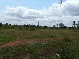 Golini One Acre on Sale.
