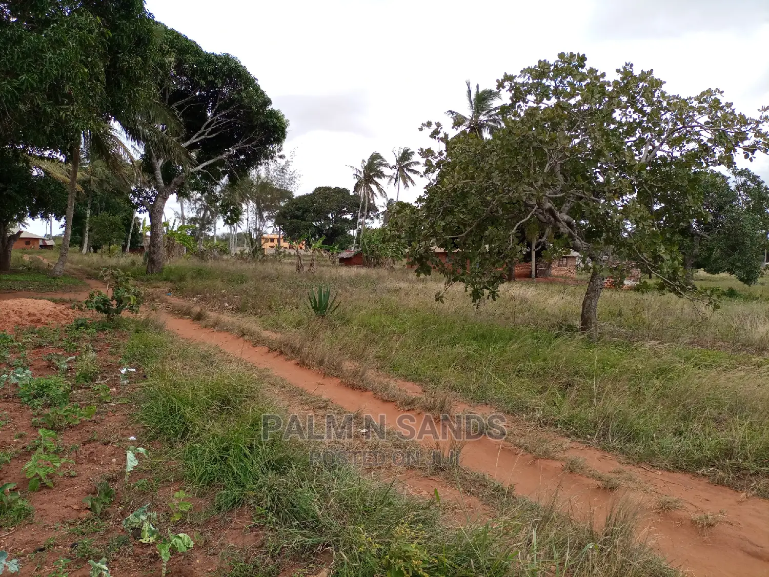 Golini One Acre on Sale.