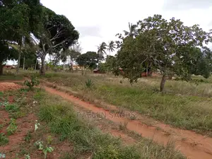Golini One Acre on Sale.