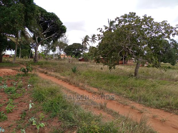 Golini One Acre on Sale. - thumbnail 5