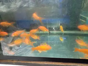 Ornametal Fish