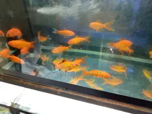 Ornametal Fish