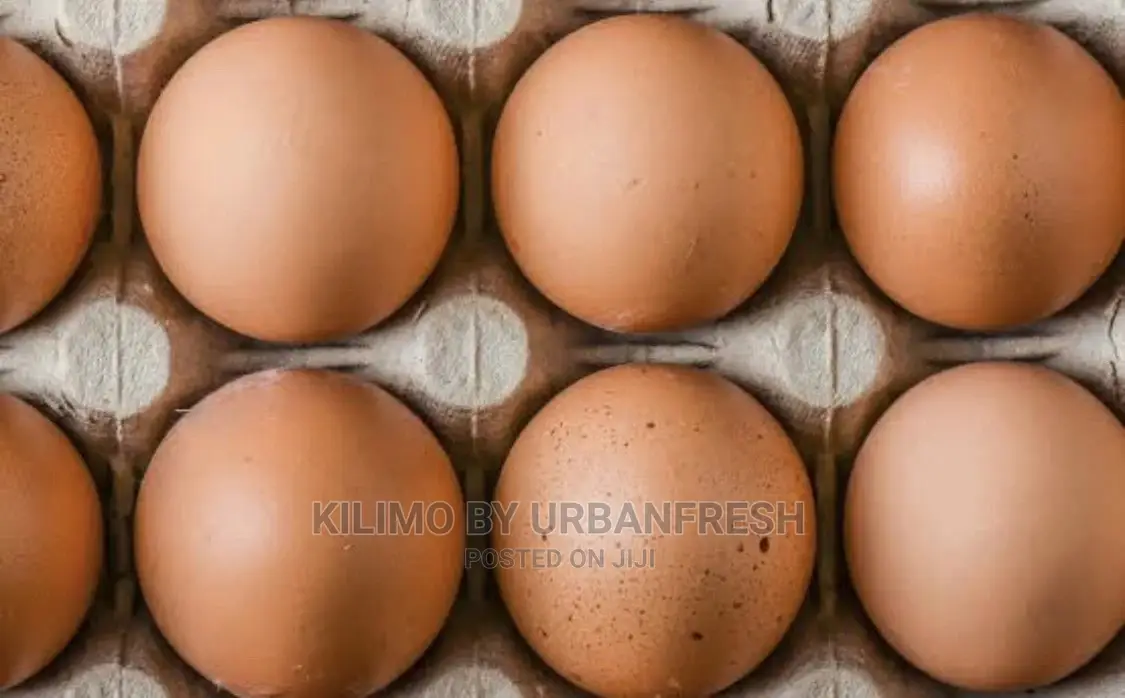 Fertilized Eggs : Turkey / Ducks /Improved Kienyeji Chicken.