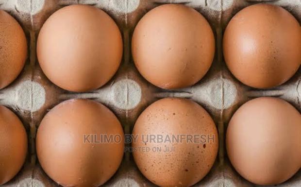 Fertilized Eggs : Turkey / Ducks /Improved Kienyeji Chicken. - main view