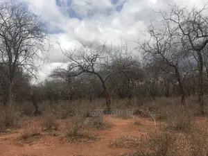 100 Acre Makindu