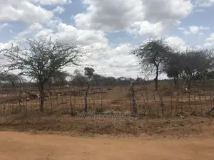 100 Acre Makindu