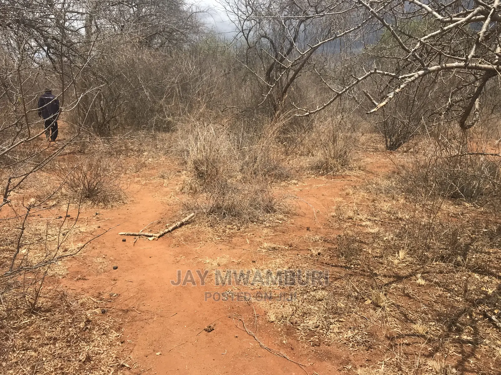 100 Acre Makindu