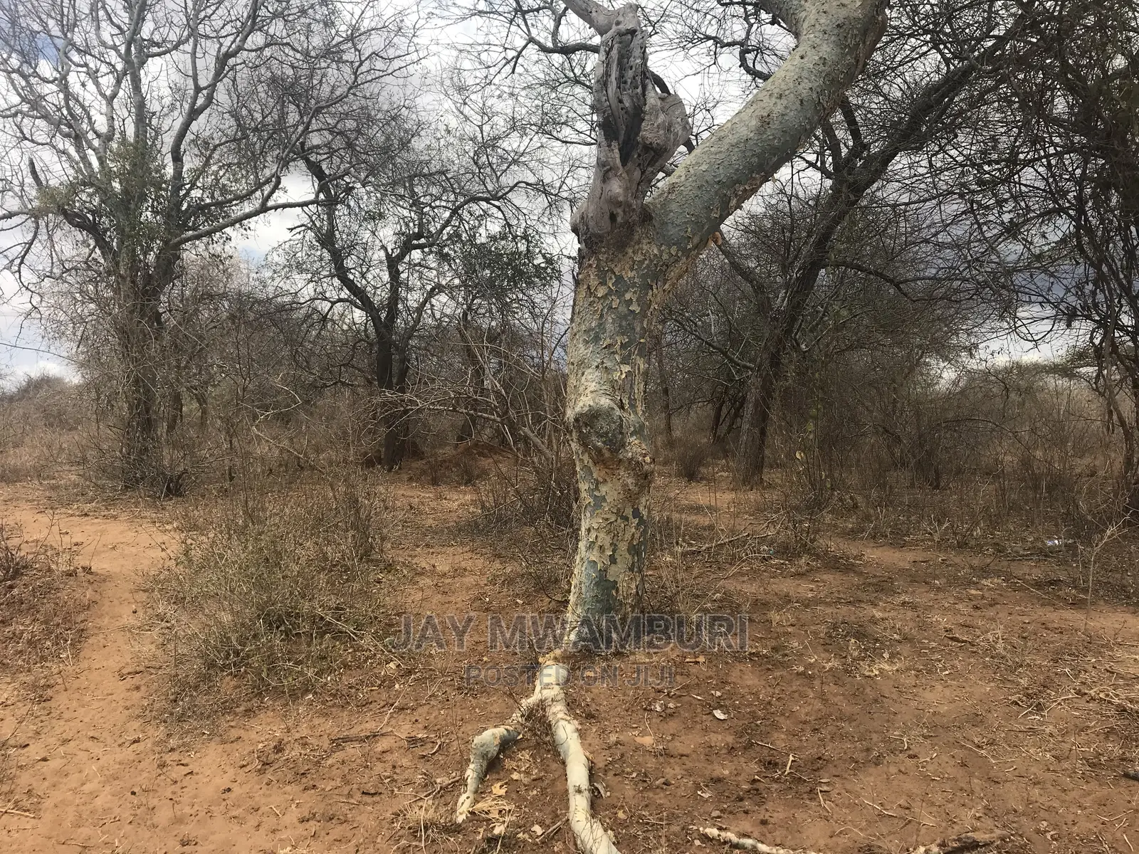 100 Acre Makindu