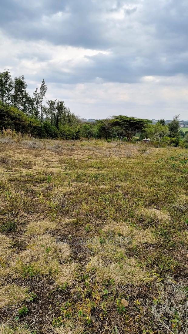 1/4 Acre Kandisi at 4.5m - thumbnail 5