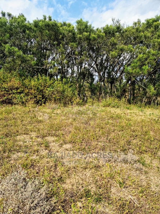 1/4 Acre Kandisi at 4.5m - thumbnail 2