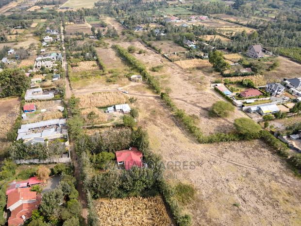 1/4 Acre Kandisi at 4.5m - thumbnail 4
