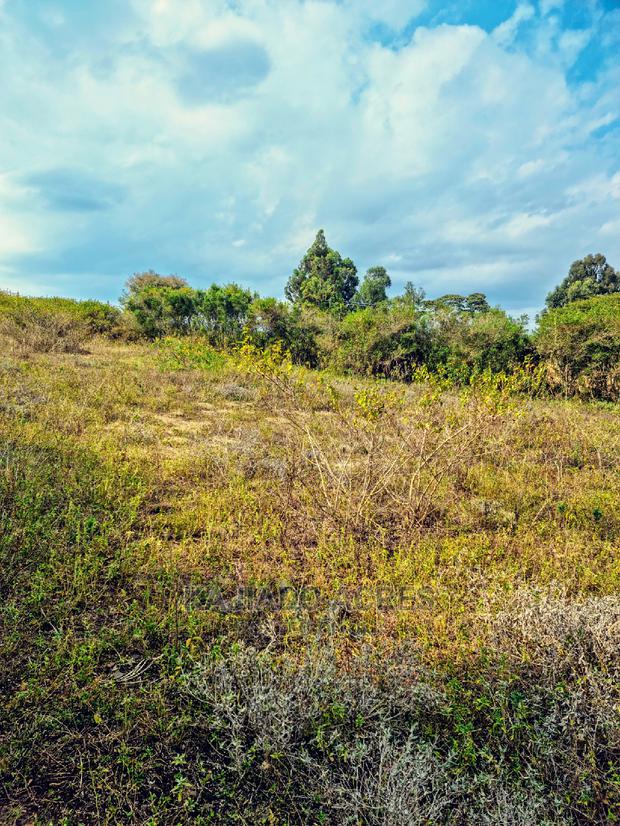 1/4 Acre Kandisi at 4.5m - thumbnail 9