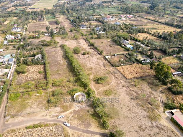 1/4 Acre Kandisi at 4.5m - thumbnail 7