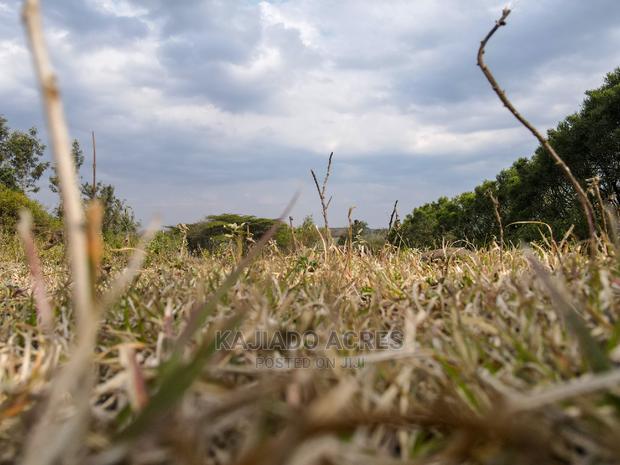 1/4 Acre Kandisi at 4.5m - thumbnail 3