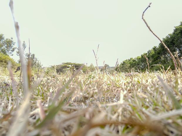 1/4 Acre Kandisi at 4.5m - thumbnail 10