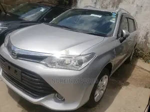 Toyota Fielder 2015 Gray