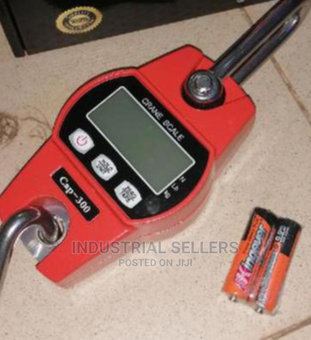 Accurately Hook Hanging Scale - main view