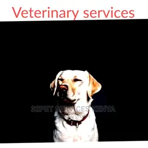 Dog Vaccination Services in Nairobi.