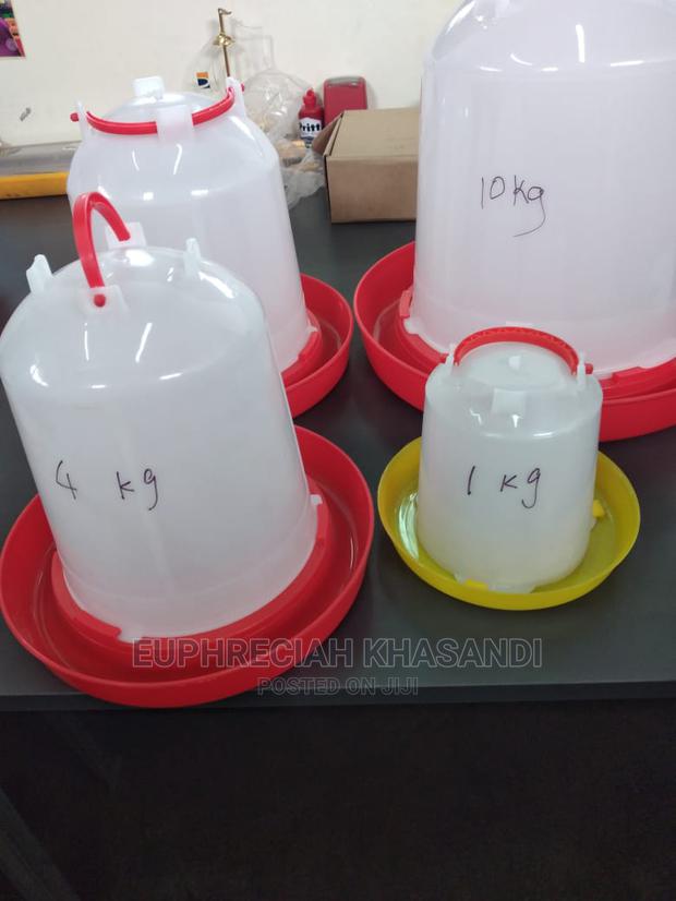 Chicken Drinkers - main view