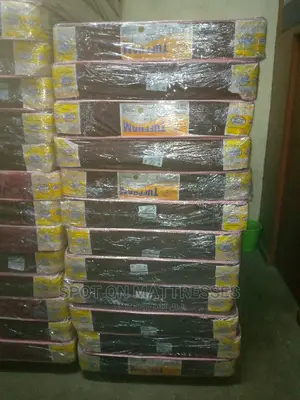 High Density Mattresses (4by6)