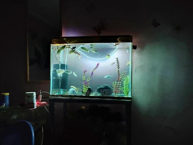 Aquarium, Fish Aquarium - main view