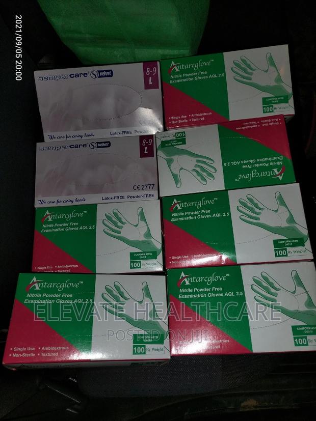 Nitrile Gloves Large - main view
