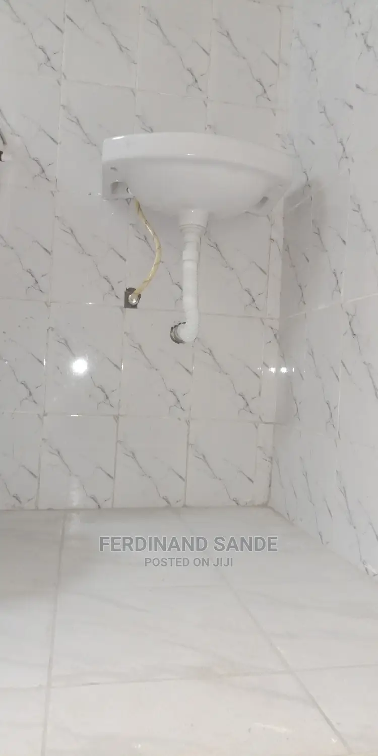 Professional Plumbing Work