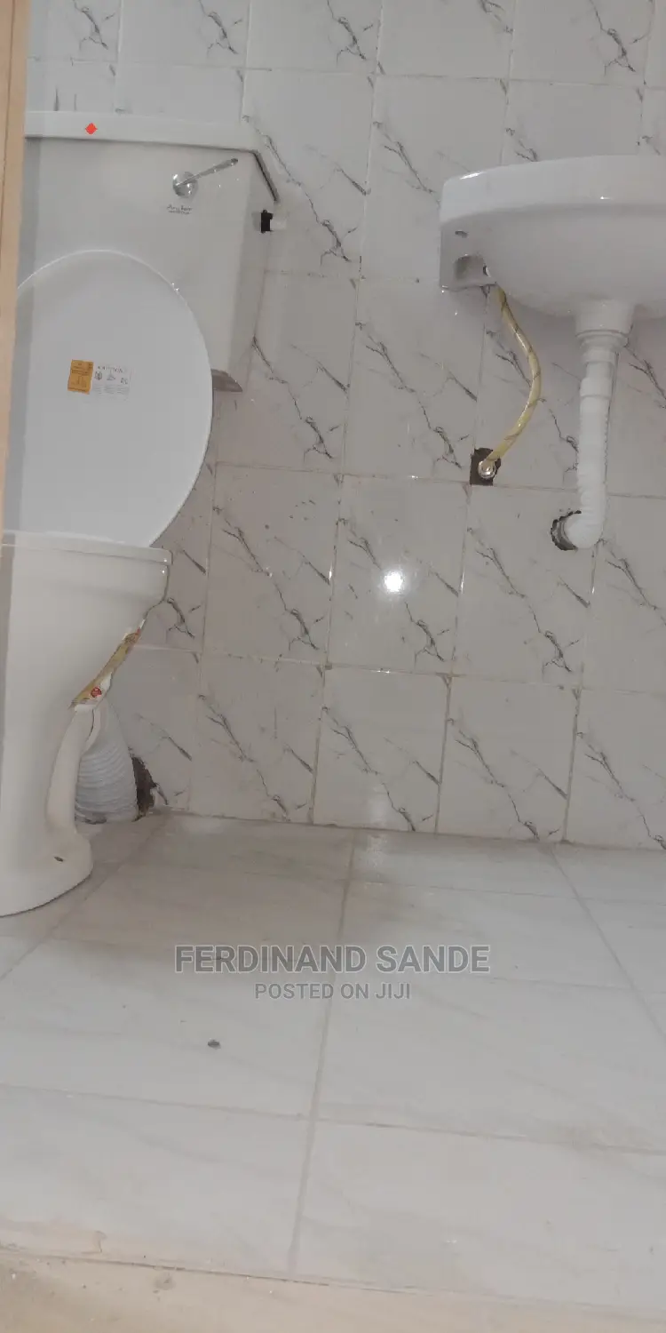 Professional Plumbing Work