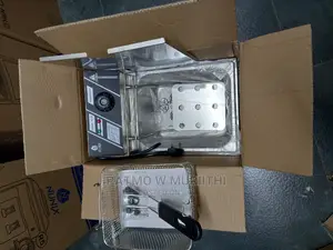 Electric Deep Fryer