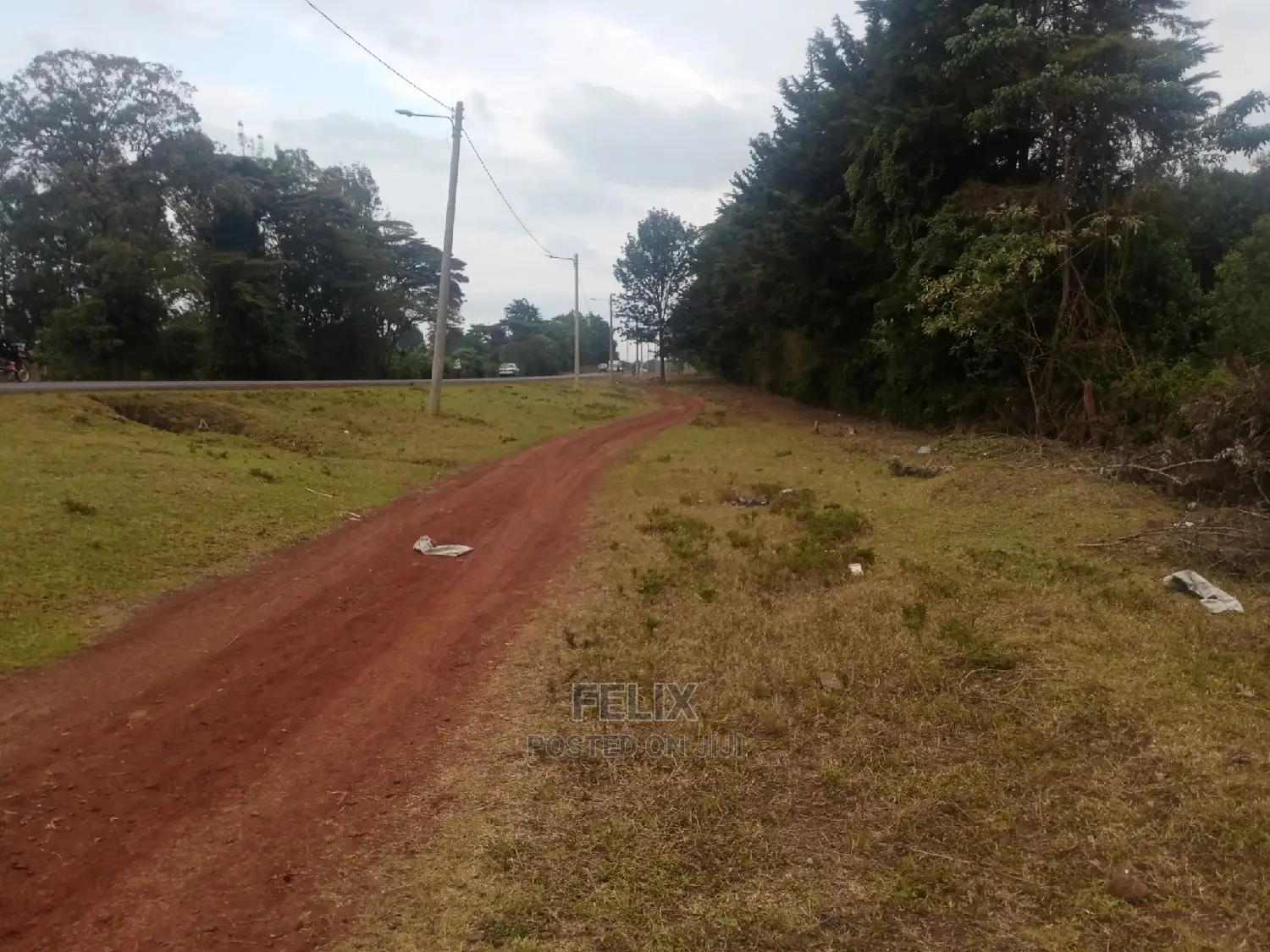 1.5 Acres Nyeri Gatitu Main Tarmac
