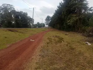 1.5 Acres Nyeri Gatitu Main Tarmac