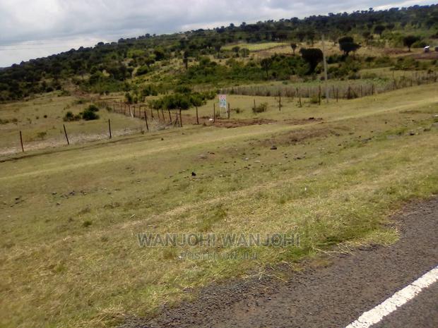 Prime Plots Touching Tamarc - thumbnail 2