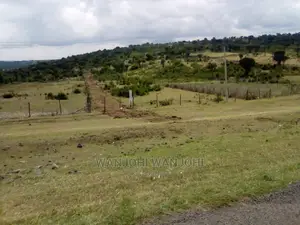 Plots Touching Highway